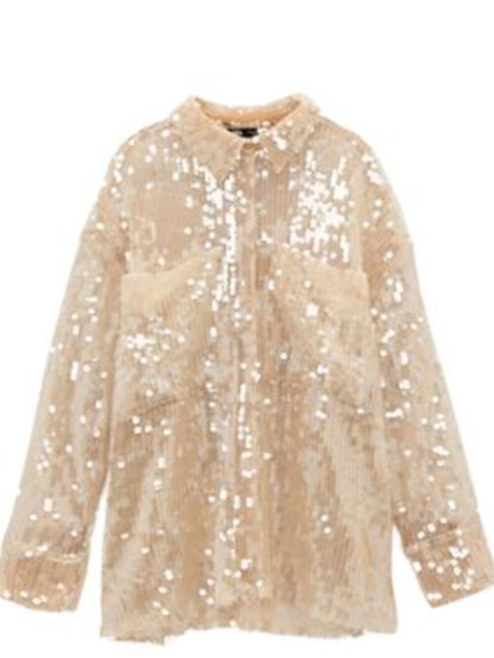 Zara Sheer Paillette Sequin Shirt